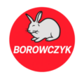 Sklepborowczyk.pl