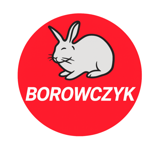 Sklep Borowoczyk